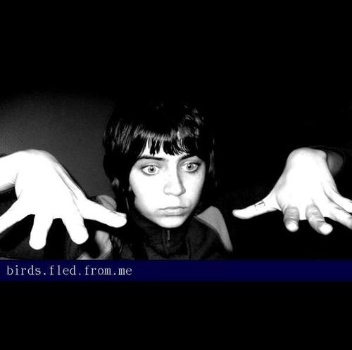 BIRDS FLED FROM ME BIRDS FLED FROM ME