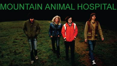 MOUNTAIN ANIMAL HOSPITAL